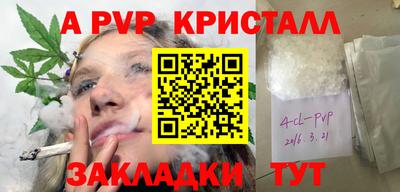 стафф Новокубанск