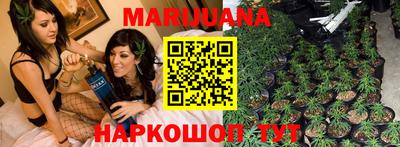 Альфа ПВП Новозыбков