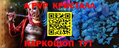 стафф Новокубанск
