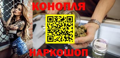стафф Новокубанск