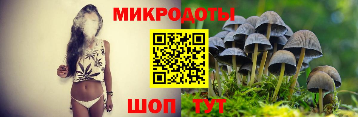 Волхов  Галлюциногенные грибы Psilocybe  Вход с VPN 